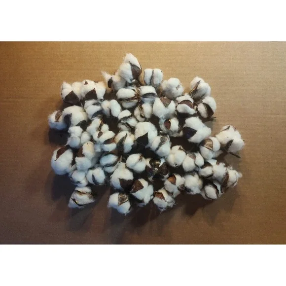 Real Cotton Balls Decor 40+ Pieces For Wreath Decor Cotton Bolls Balls‎ Natural - Picture 2 of 7